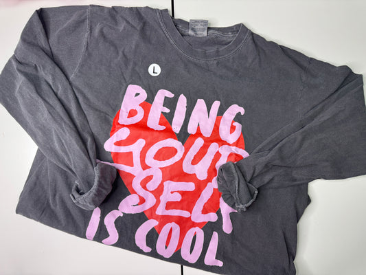 LARGE. LONG SLEEVE TSHIRT.